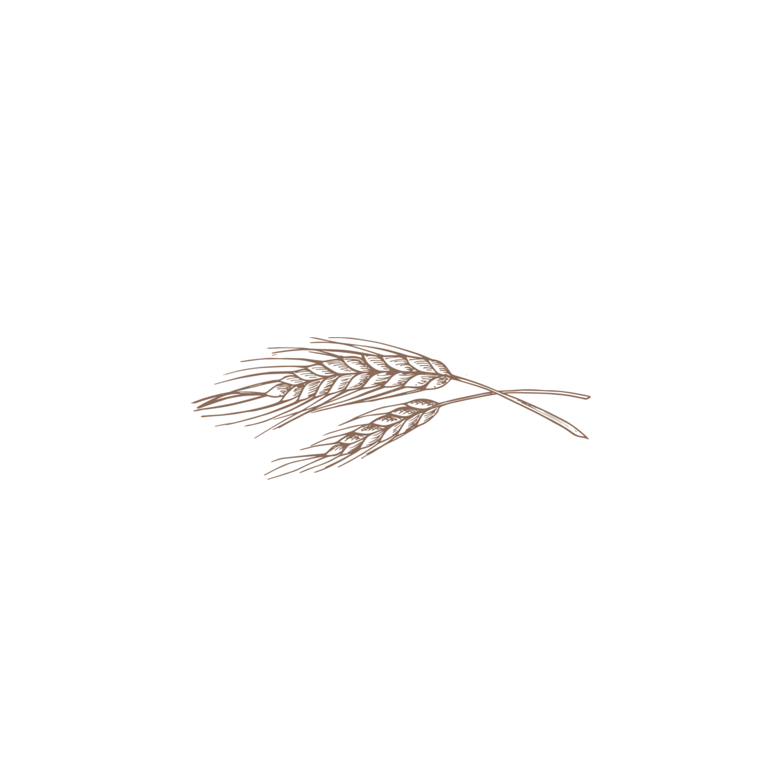 Rust & Honey Collective